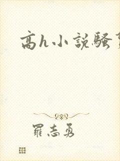 高h小说骚货