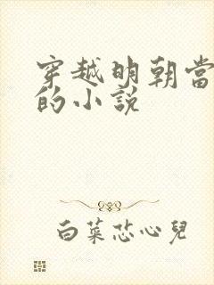穿越明朝当王爷的小说
