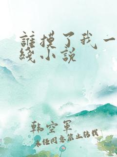 谁摸了我一下在线小说