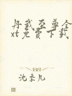 丹武至尊全本txt免费下载