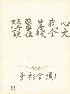 陆医生我心疼小说在线全文免费阅读