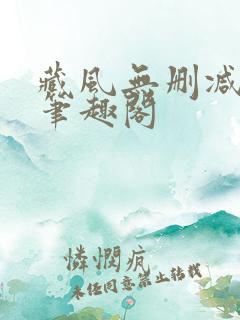 藏风无删减免费笔趣阁