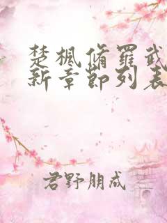楚枫修罗武神最新章节列表