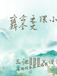 宿命之环小说最新全文