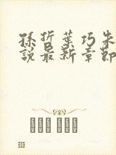 孙哲叶巧朱颜小说最新章节