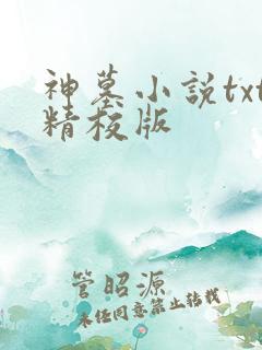 神墓小说txt精校版