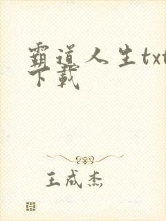 霸道人生txt下载