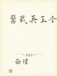 医武兵王全文