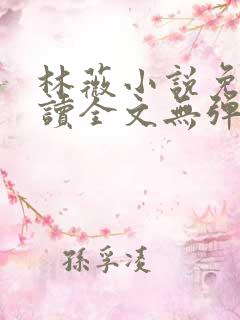 林薇小说免费阅读全文无弹窗