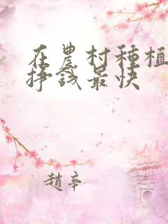 在农村种植什么挣钱最快