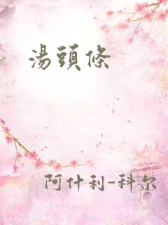 汤头条