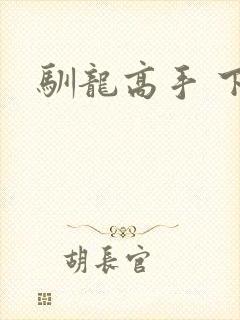 驯龙高手 下载