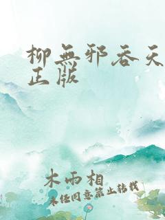 柳无邪吞天神鼎正版