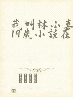 我叫林小喜今年19岁小说在线阅读全文