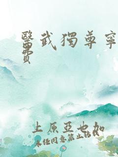 医武独尊宁天免费