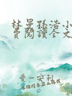 林曼孙浩小说免费阅读全文最新章节