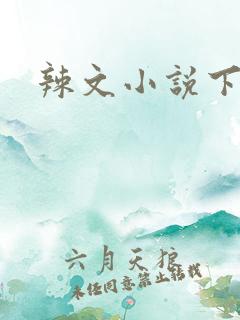 辣文小说下载