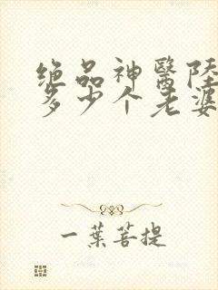 绝品神医陆逸有多少个老婆