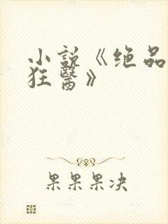 小说《绝品风流狂医》