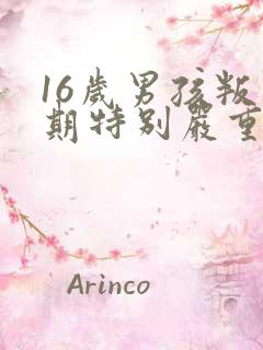 16岁男孩叛逆期特别严重怎么办