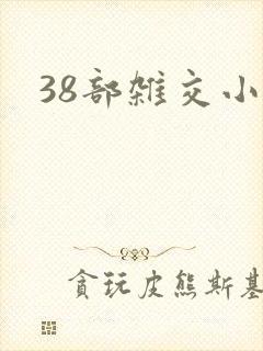 38部杂交小说