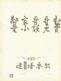 邻家哥哥对我的爱小说免费阅读