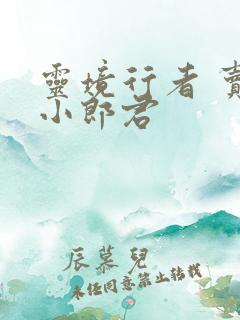 灵境行者 卖报小郎君