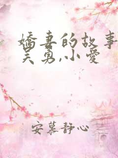 娇妻的故事小说吴勇,小爱