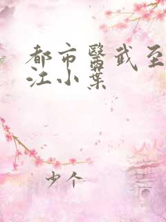 都市医武至尊 江小叶