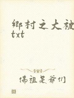 乡村之大被同眠txt