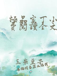极品家丁小说免费阅读全文