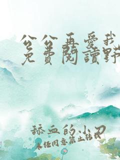 公公再爱我一次免费阅读野树小说全文