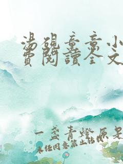 汤砚童意小说免费阅读全文下载