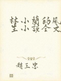 林小兰的风流人生小说全文免费阅读