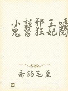 小说邪王嗜宠:鬼医狂妃阅读