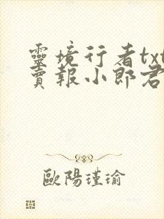 灵境行者txt卖报小郎君