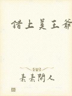 错上美王爷