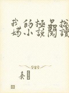 我的极品总裁妈妈小说阅读