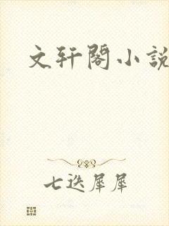 文轩阁小说网