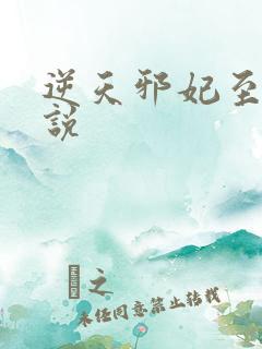 逆天邪妃至上小说