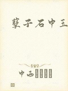 孽子石中玉