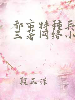 都市特种兵夜十三著网络小说