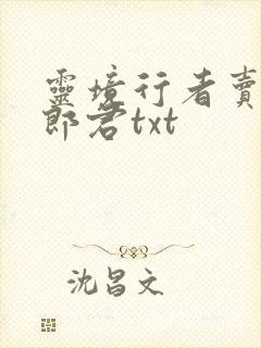 灵境行者卖报小郎君txt