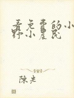 看免费的小说乡野小农民