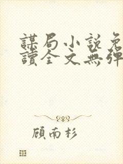 谋局小说免费阅读全文无弹窗