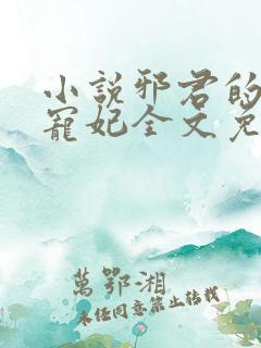 小说邪君的第一宠妃全文免费阅读
