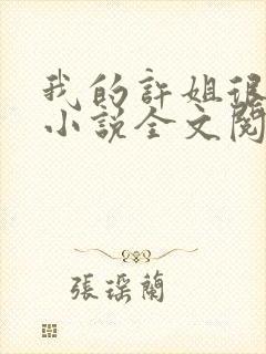 我的许姐很温柔小说全文阅读