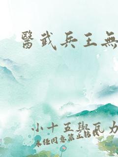 医武兵王无弹窗