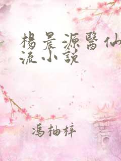 杨晨源医仙不风流小说