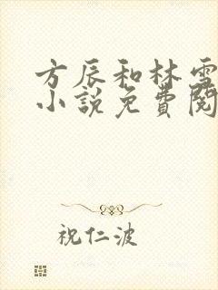 方辰和林雪妍的小说免费阅读无弹窗笔趣阁